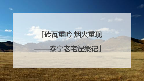 砖瓦重吟 烟火重现——泰宁老宅涅槃记