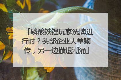 磷酸铁锂玩家洗牌进行时？头部企业大单频传，另一边撤退潮涌