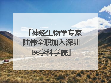 神经生物学专家陆伟全职加入深圳医学科学院