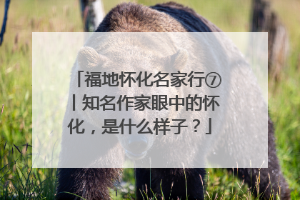 福地怀化名家行⑦丨知名作家眼中的怀化，是什么样子？