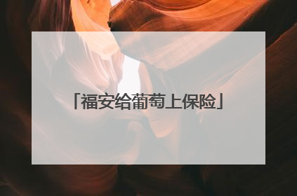 福安给葡萄上保险