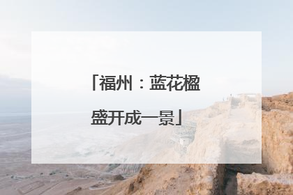 福州：蓝花楹盛开成一景