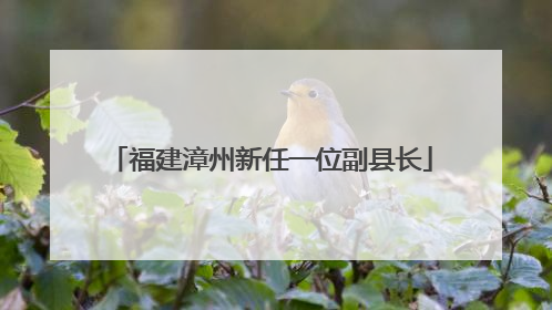 福建漳州新任一位副县长