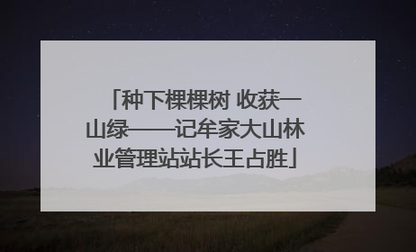 种下棵棵树 收获一山绿——记牟家大山林业管理站站长王占胜