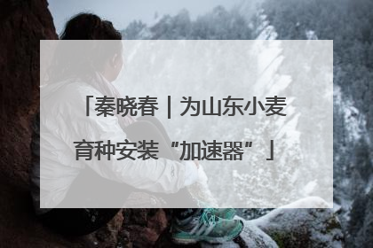 秦晓春｜为山东小麦育种安装“加速器”