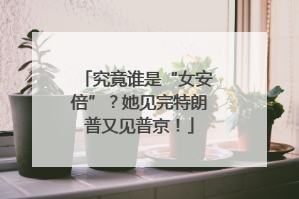 究竟谁是“女安倍”？她见完特朗普又见普京！