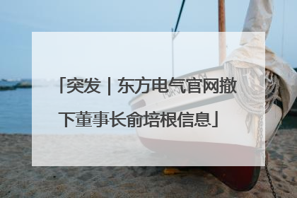 突发｜东方电气官网撤下董事长俞培根信息
