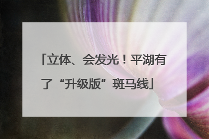 立体、会发光！平湖有了“升级版”斑马线