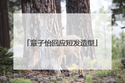 章子怡回应短发造型