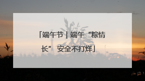 端午节｜端午“粽情长” 安全不打烊
