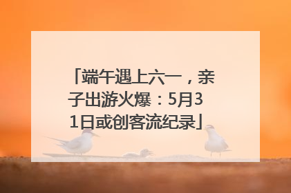 端午遇上六一，亲子出游火爆：5月31日或创客流纪录