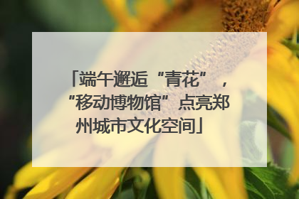 端午邂逅“青花”，“移动博物馆”点亮郑州城市文化空间