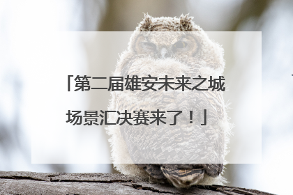 第二届雄安未来之城场景汇决赛来了！