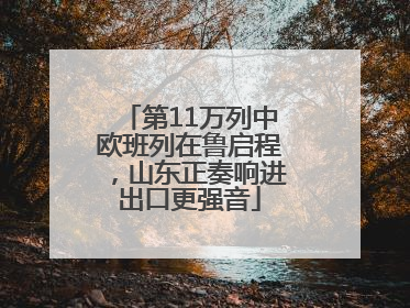 第11万列中欧班列在鲁启程，山东正奏响进出口更强音