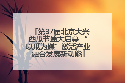 第37届北京大兴西瓜节盛大启幕 “以瓜为媒”激活产业融合发展新动能