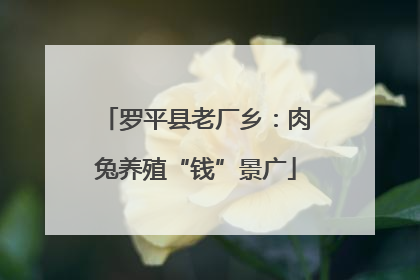 罗平县老厂乡：肉兔养殖“钱”景广
