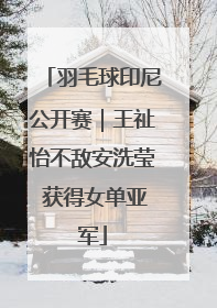 羽毛球印尼公开赛｜王祉怡不敌安洗莹 获得女单亚军