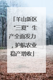 羊山新区“三夏”生产全面发力，护航农业稳产增收