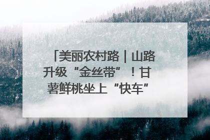 美丽农村路｜山路升级“金丝带”！甘薯鲜桃坐上“快车”，开去大市场