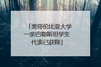 美哥伦比亚大学一亲巴勒斯坦学生代表已获释
