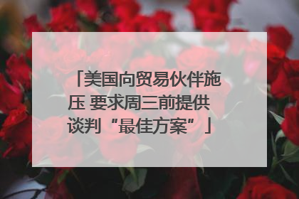 美国向贸易伙伴施压 要求周三前提供谈判“最佳方案”