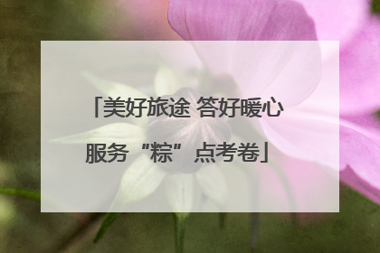 美好旅途 答好暖心服务“粽”点考卷