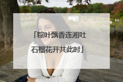 粽叶飘香连湘吐 石榴花开共此时