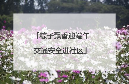 粽子飘香迎端午 交通安全进社区