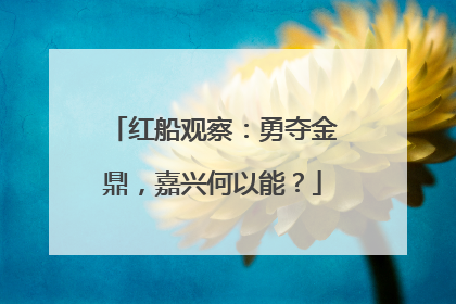 红船观察：勇夺金鼎，嘉兴何以能？