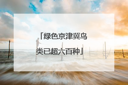 绿色京津冀鸟类已超六百种