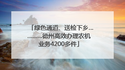 绿色通道、送检下乡…………德州高效办理农机业务4200多件