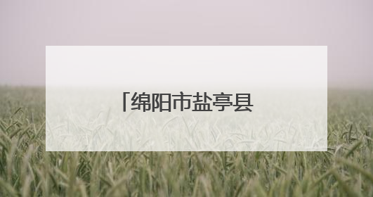 绵阳市盐亭县文同小学开展数学教研活动