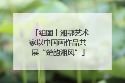 组图丨湘鄂艺术家以中国画作品共展“楚韵湘风”