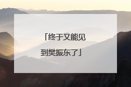 终于又能见到樊振东了