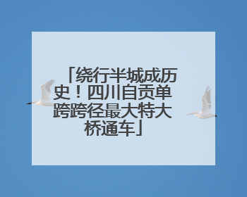 绕行半城成历史！四川自贡单跨跨径最大特大桥通车