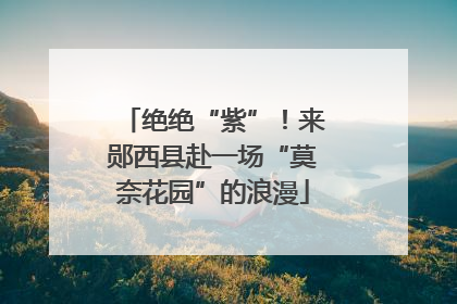 绝绝“紫”！来郧西县赴一场“莫奈花园”的浪漫