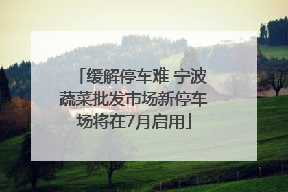 缓解停车难 宁波蔬菜批发市场新停车场将在7月启用
