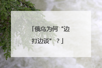 俄乌为何“边打边谈”？