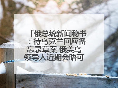 俄总统新闻秘书：待乌克兰回应备忘录草案 俄美乌领导人近期会晤可能性小