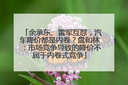 余承东、雷军互怼，汽车降价都是内卷？盘和林：市场竞争导致的降价不属于内卷式竞争