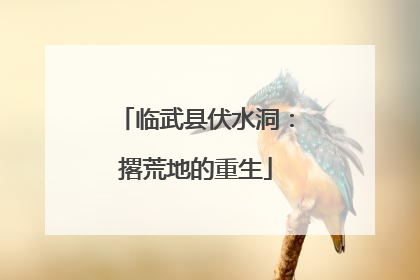 临武县伏水洞：撂荒地的重生