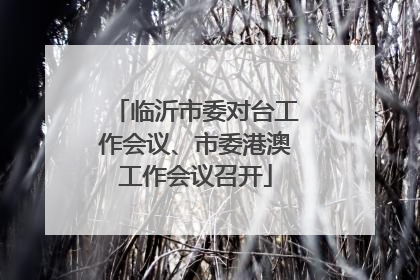 临沂市委对台工作会议、市委港澳工作会议召开