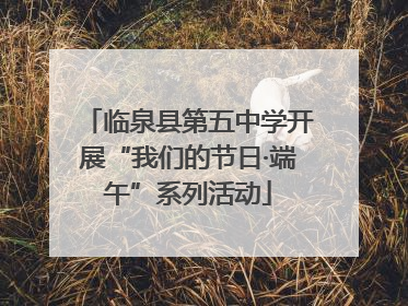 临泉县第五中学开展“我们的节日·端午”系列活动