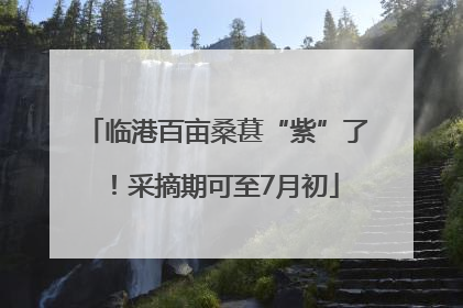 临港百亩桑葚“紫”了！采摘期可至7月初
