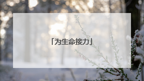 为生命接力