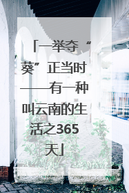 一举夺“葵”正当时——有一种叫云南的生活之365天