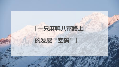 一只麻鸭共富路上的发展“密码”