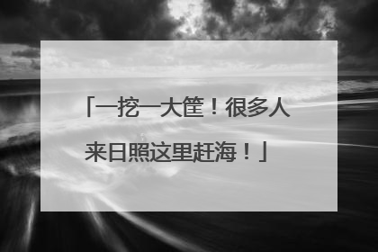 一挖一大筐！很多人来日照这里赶海！