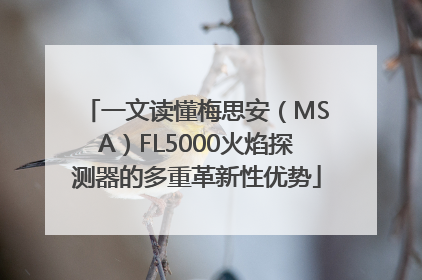 一文读懂梅思安（MSA）FL5000火焰探测器的多重革新性优势