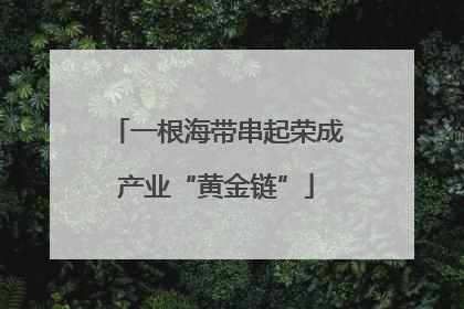 一根海带串起荣成产业“黄金链”